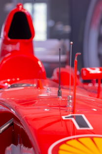 开云官网app-全国青少年旱地冰球锦标赛在哈尔滨精彩展开，旱地冰球比赛时间