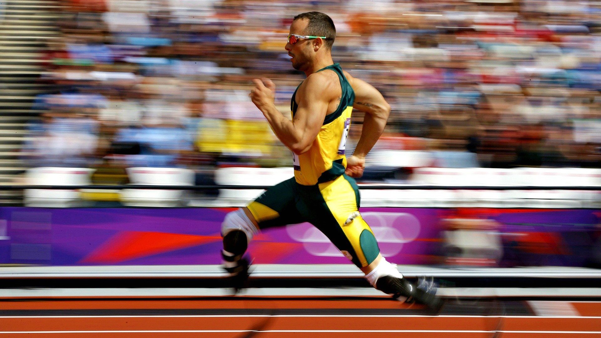 数字化体育教学平台建设与用户体验分析，数字体育平台是什么